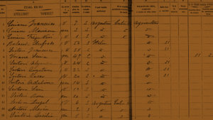 Cómo Consultar el Censo Argentino de 1895 Online