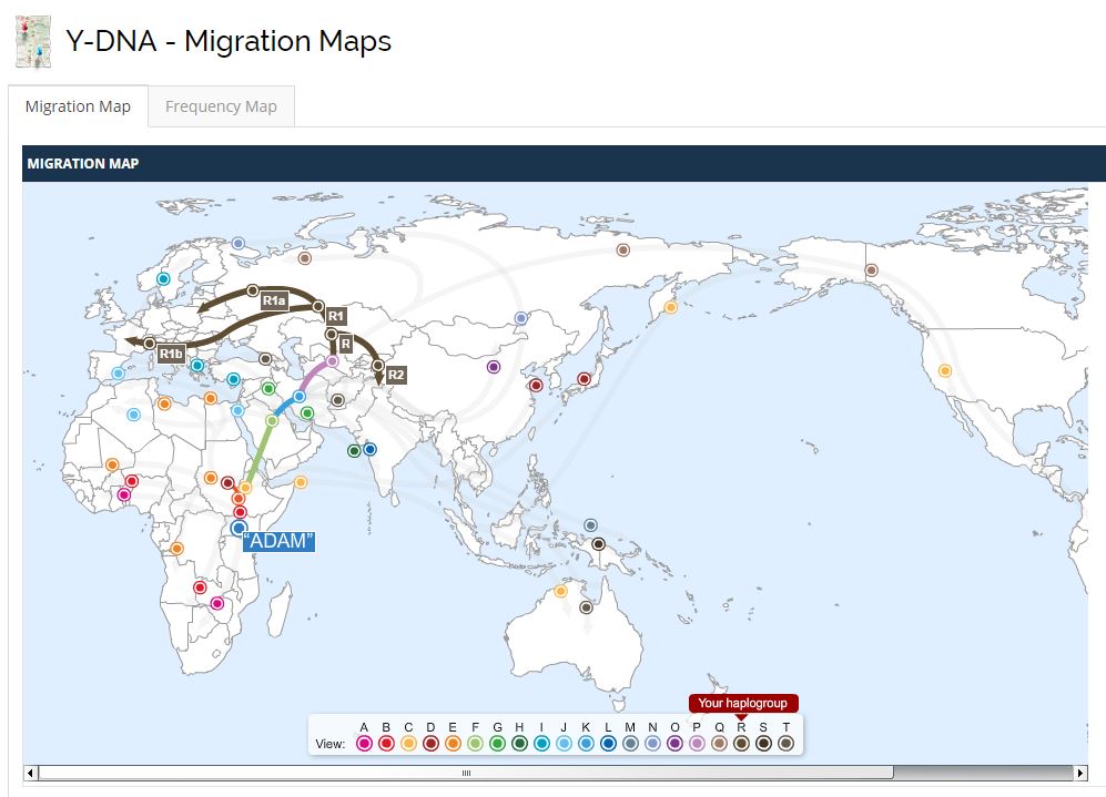 El mapa de migraciones y el camino de mi grupo