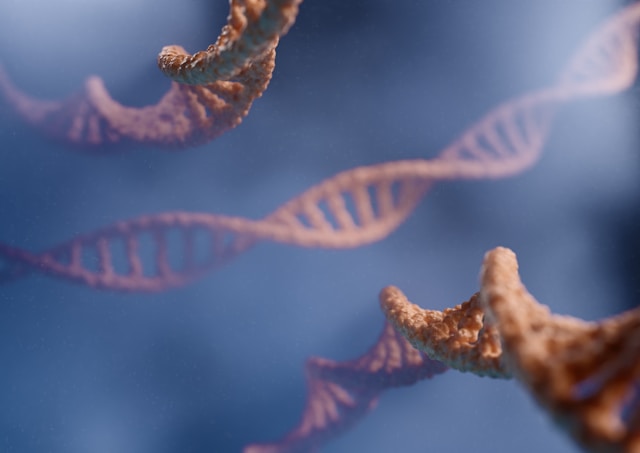 Guía de Tests de ADN para Línea Paterna: Cromosoma Y