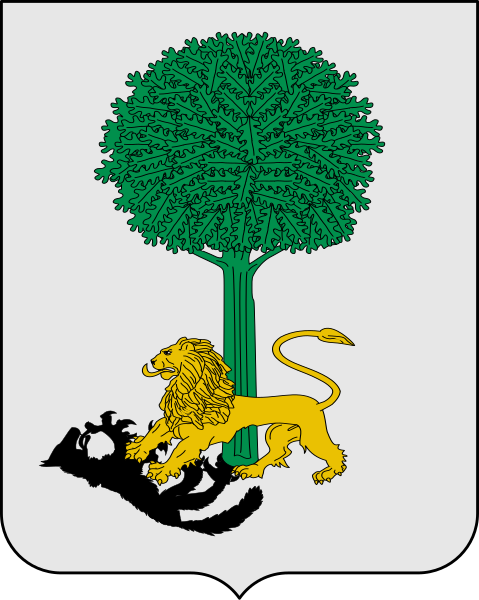 Escudo de Armas Fernández 1